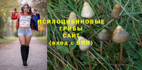гашик Абдулино