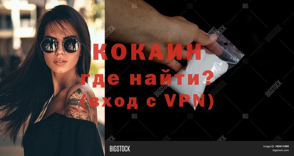 винт Новозыбков