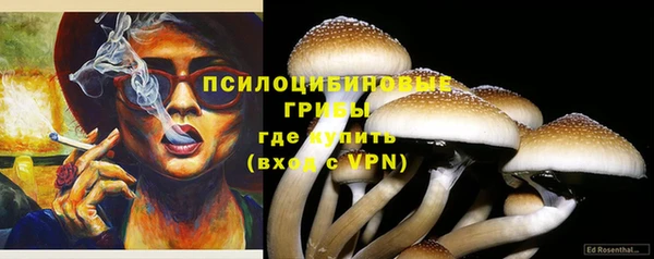 герыч Новодвинск