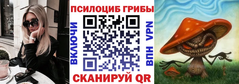 гидра зеркало  Торопец  Псилоцибиновые грибы MAGIC MUSHROOMS  купить наркотики цена 