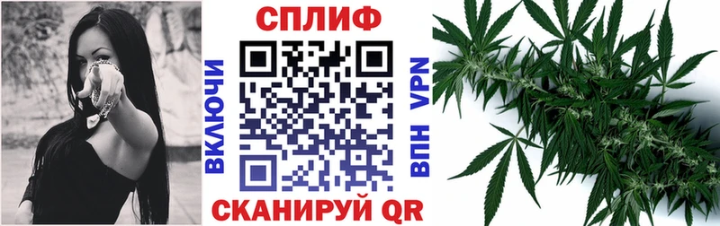 где продают наркотики  Торопец  Каннабис THC 21% 